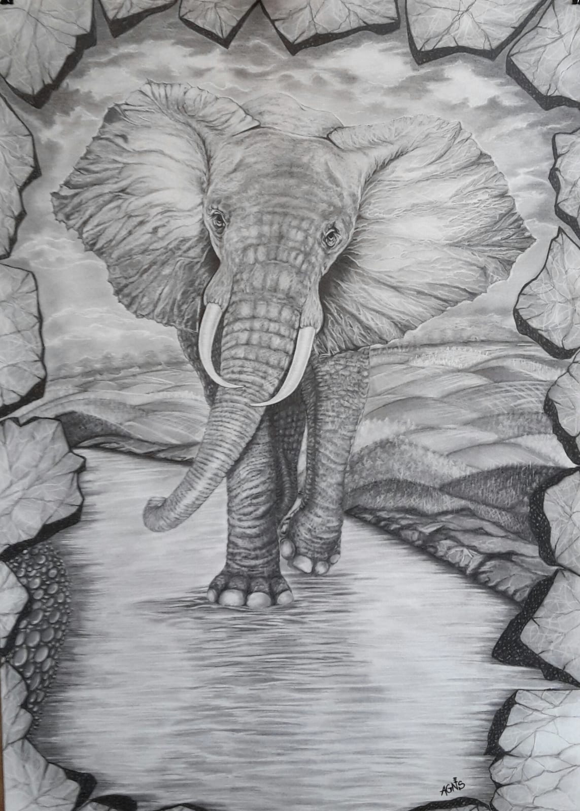 Elefant