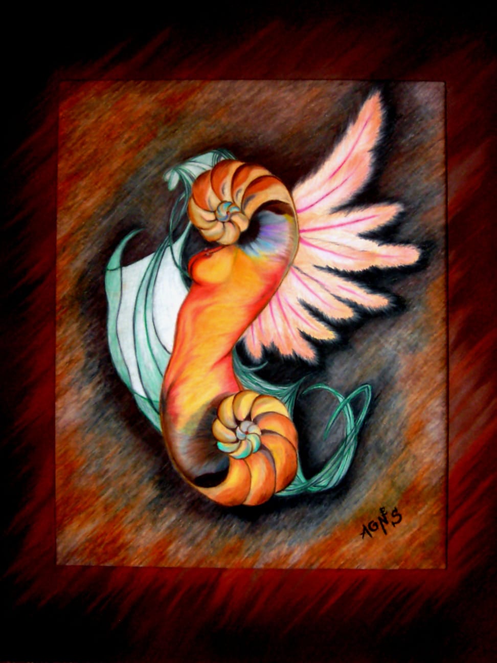 Nautilus I