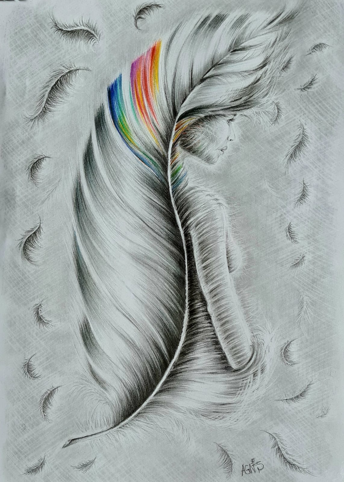 Regenbogenfeder